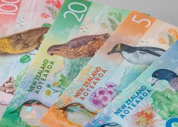 Kiwi sheds 2% in forex trading today