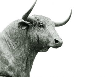 US markets end the week higher