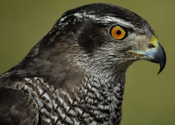 Hawkish Fed delivers jolt to market, further choppiness likely ahead