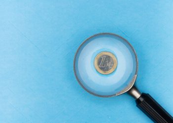 IFO data brightens up the euro