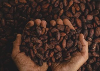 Coffee Technical Analysis – Stick with the trend