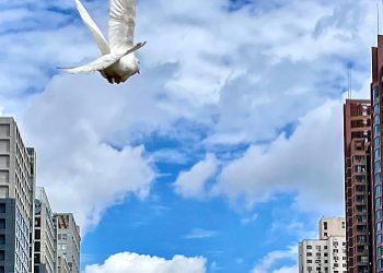 Stocks continued to glean support in wake of last week’s dovish Powell