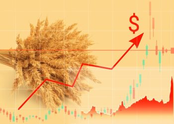Risk Appetite renews as Dollar Tumbles from a 2-year high