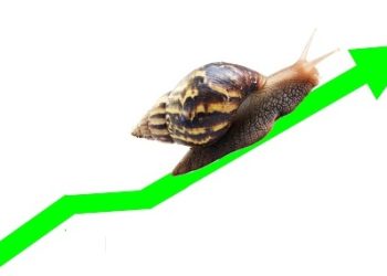 Midday Brief-Slow movement as US Banks observe Holiday