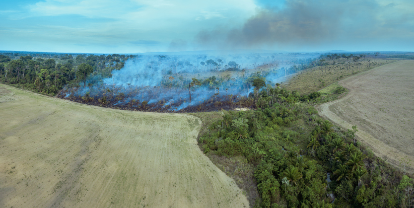 Illegal fire burn forest trees in the Amazon rainforest, Brazil. Aerial view of deforestation area for pasture, livestock and agriculture soy farm. Concept of ecology, environment and climate change.