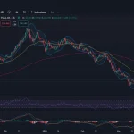 Tesla se desinfla: ¿Es hora de vender o la oportunidad del año? Análisis técnico y fundamental de TSLA