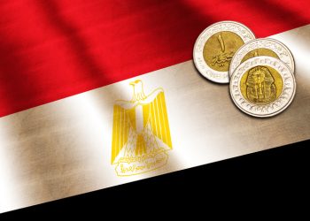 Egyptian pound on the flag. Abstract illustration.